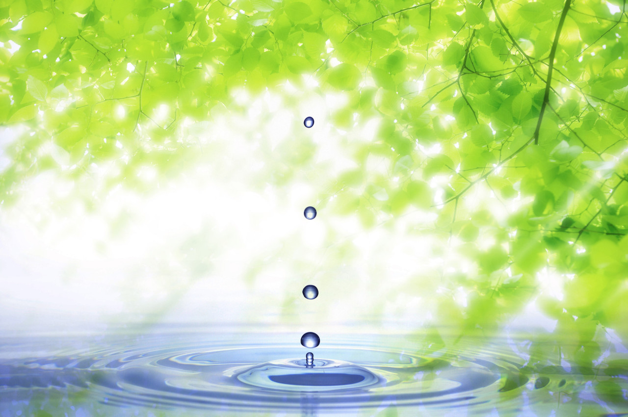 ハタ楽カウンセリング